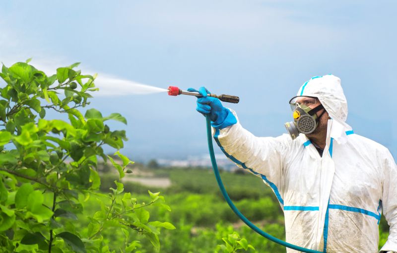 Pest Fumigation Service in Fort Collins, CO