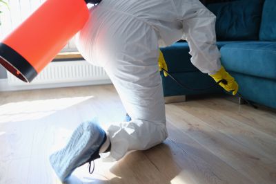 Rat Fumigation Service in Long Island, NY